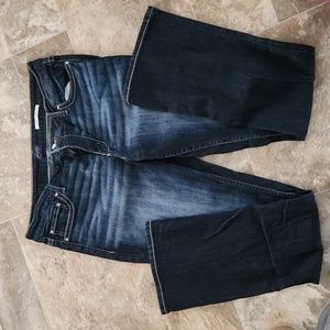 Daytrip bootcut jeans
